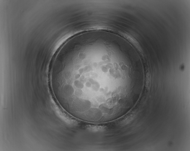 X0000116581039200912101536