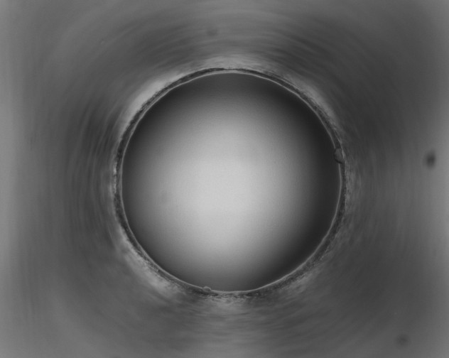 X0000116581040200912101536