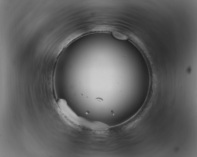 X0000116581041200912101536