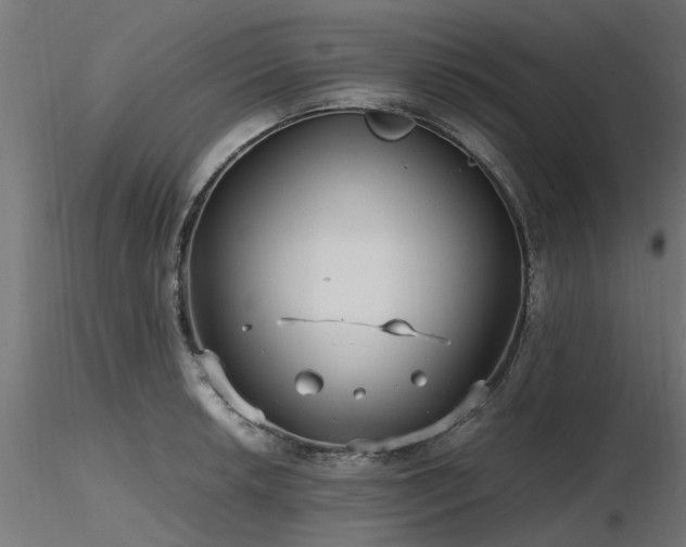 X0000116581042200912101536