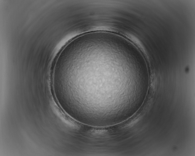 X0000116581043200912101536