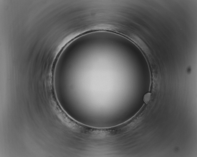 X0000116581044200912101536