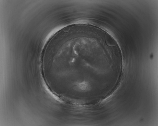 X0000116581045200912101536