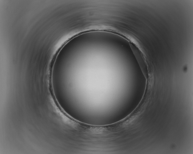 X0000116581046200912101536