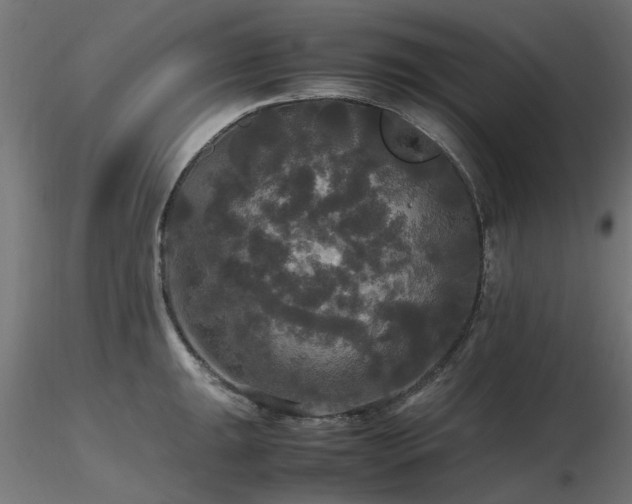 X0000116581047200912101536