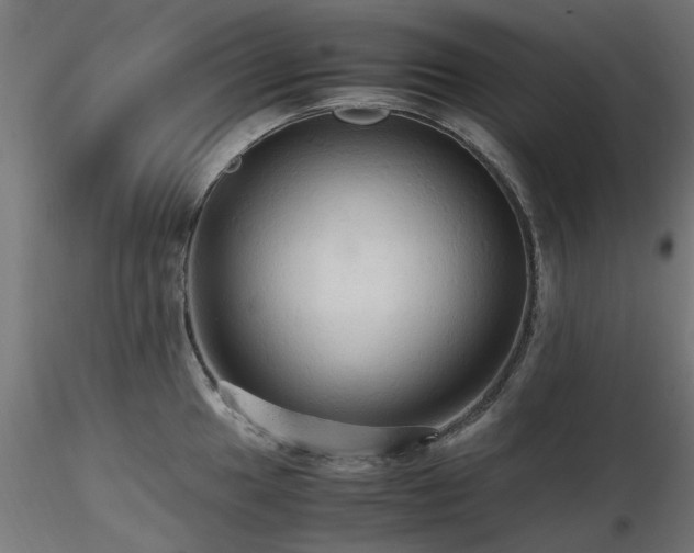 X0000116581049200912101536