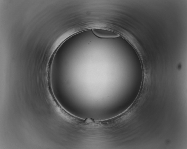 X0000116581050200912101536