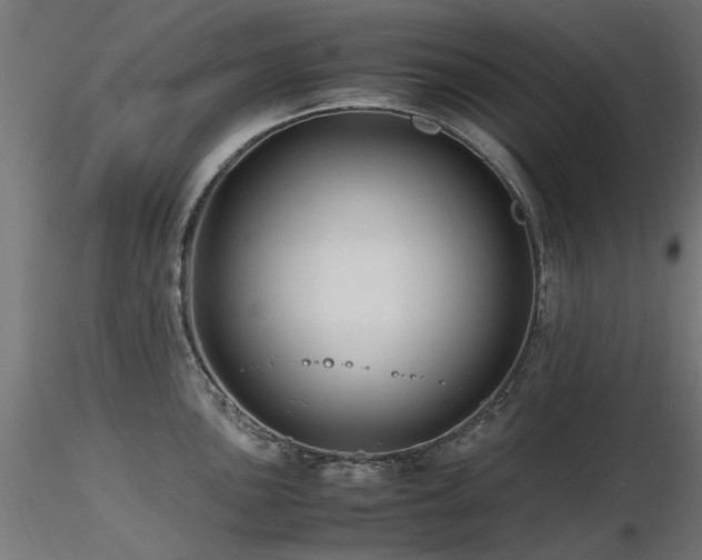 X0000116581051200912101536