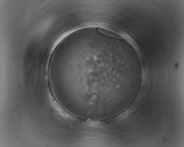 X0000116581052200912101536