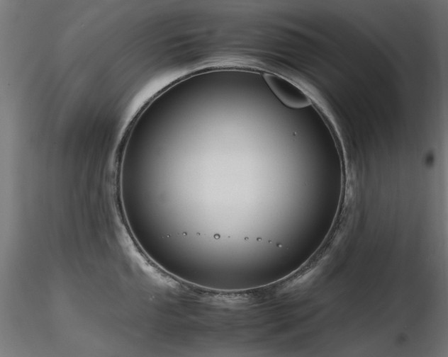 X0000116581053200912101536