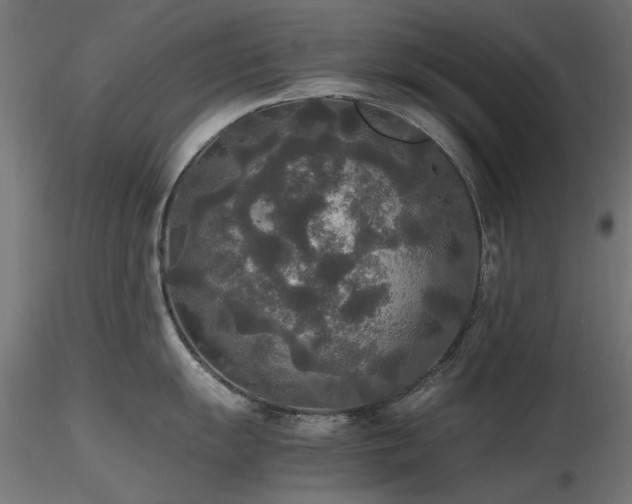 X0000116581055200912101536