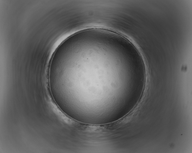 X0000116581056200912101536