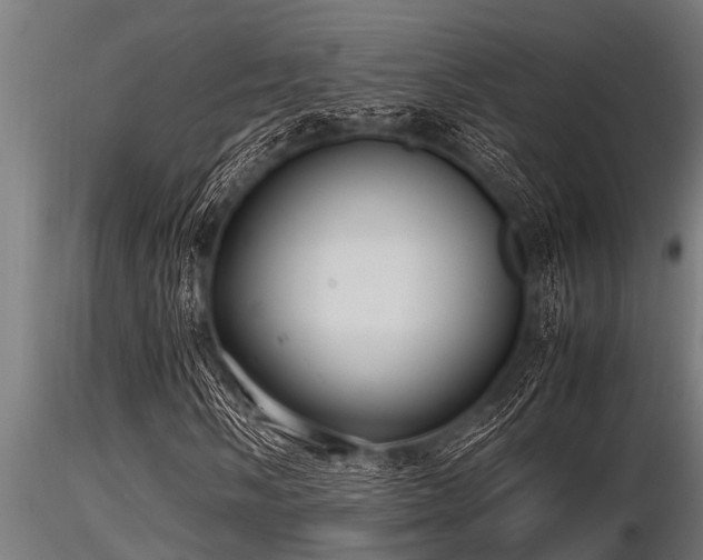 X0000116581058200912101535