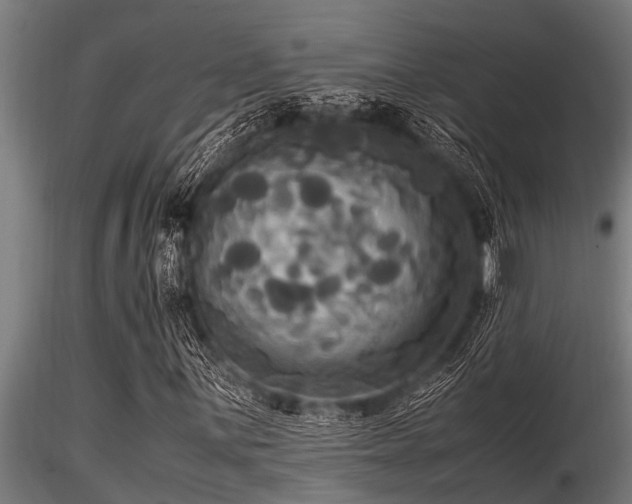 X0000116581059200912101535