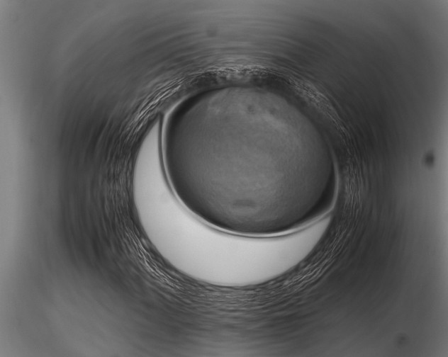 X0000116581060200912101535