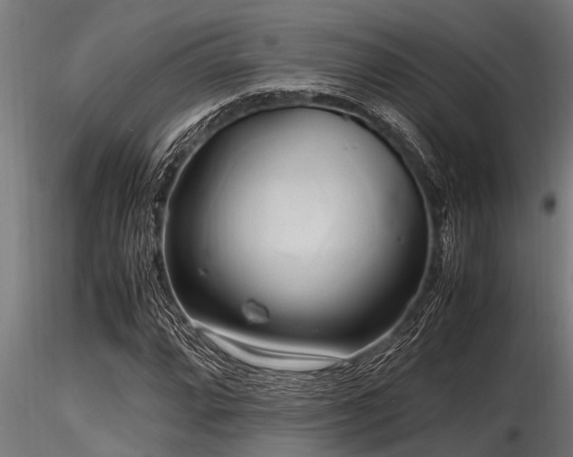 X0000116581064200912101535