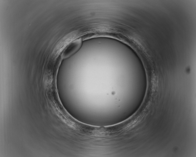 X0000116581065200912101535