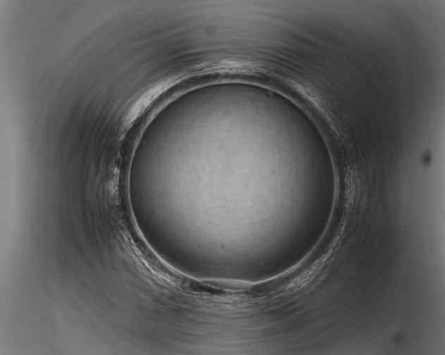 X0000116581066200912101535