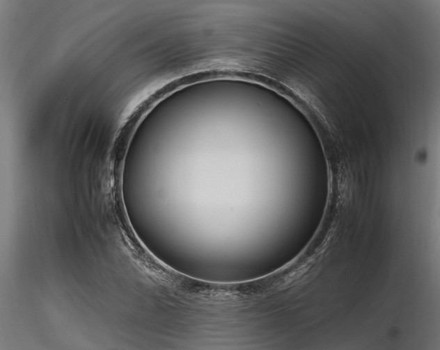 X0000116581070200912101535