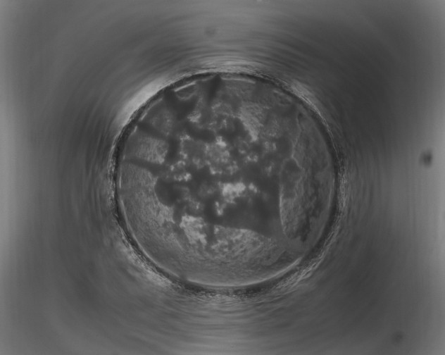 X0000116581071200912101535