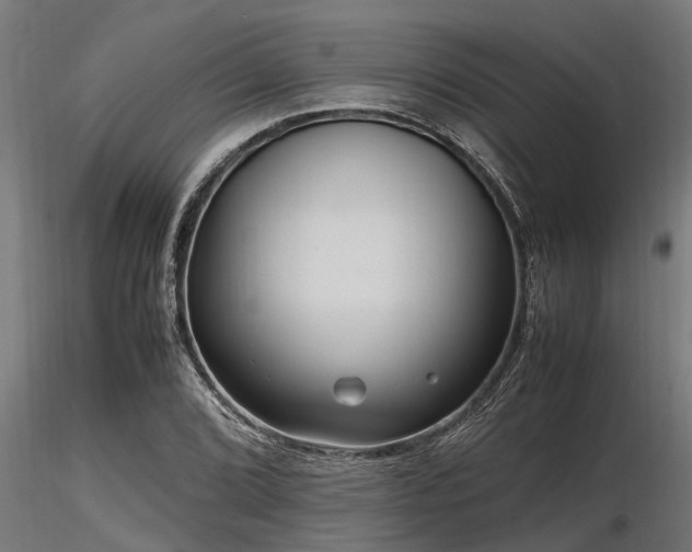 X0000116581072200912101535