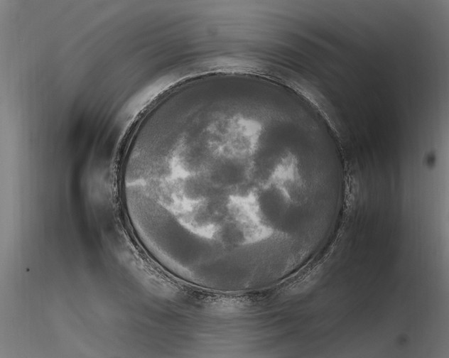 X0000116581074200912101535