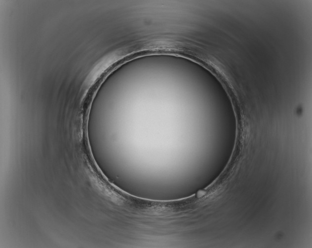 X0000116581075200912101535