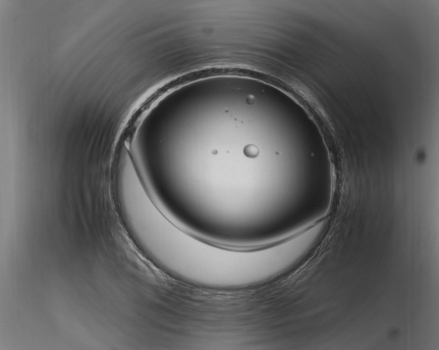 X0000116581076200912101535