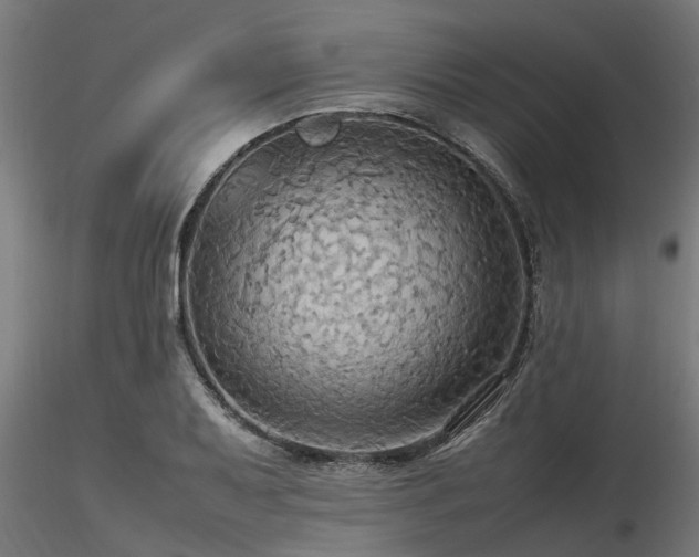 X0000116581079200912101535