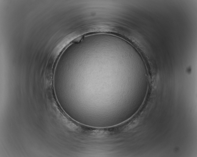 X0000116581081200912101535