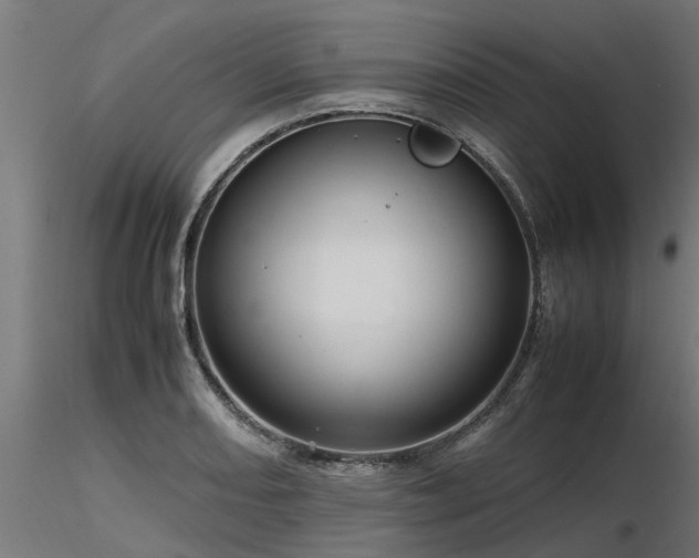 X0000116581082200912101535