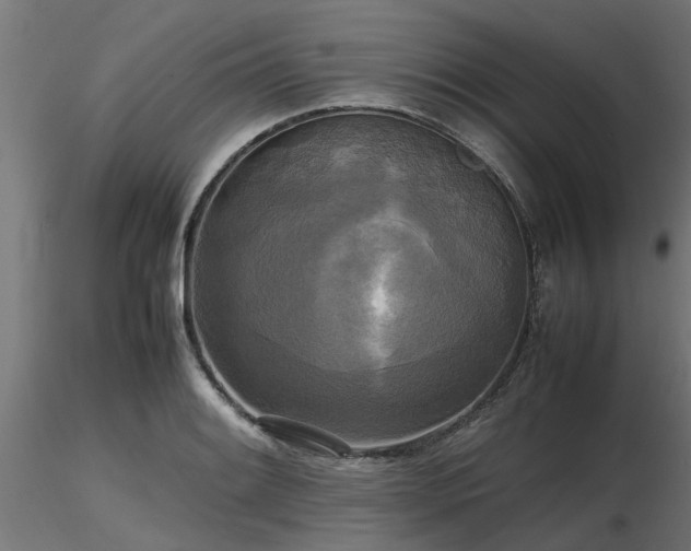 X0000116581084200912101535