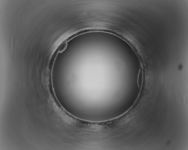 X0000116581085200912101535