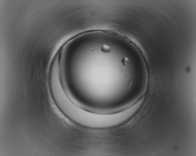 X0000116581088200912101535