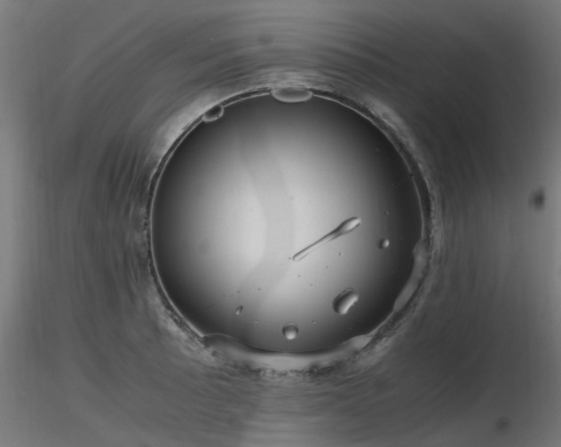 X0000116581089200912101535