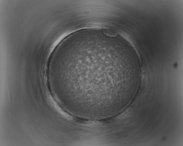 X0000116581091200912101535