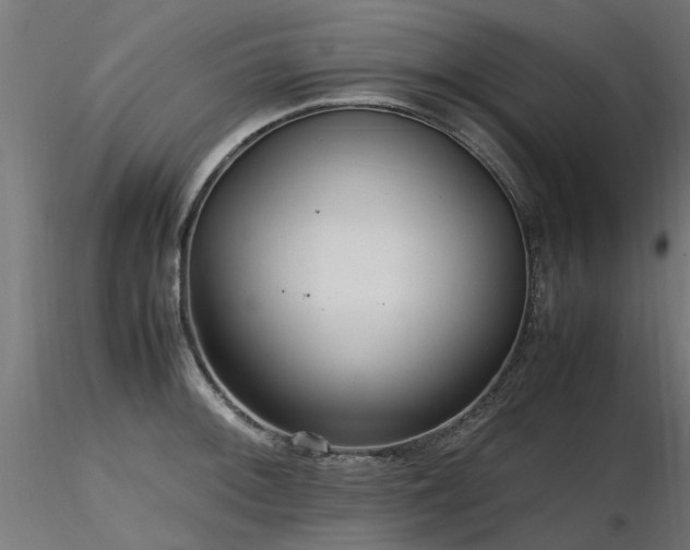 X0000116581092200912101534