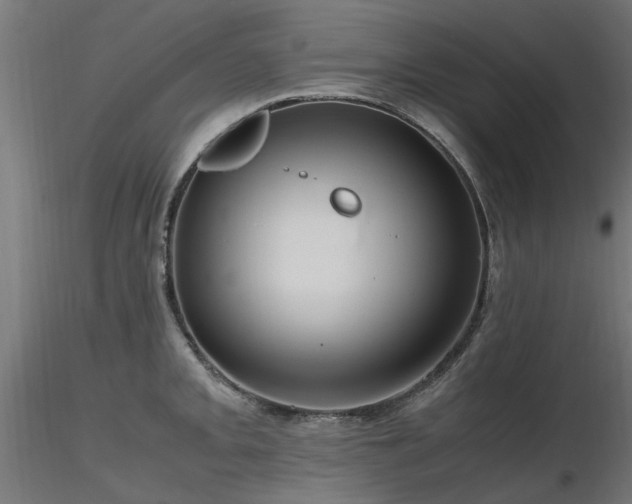 X0000116581093200912101534