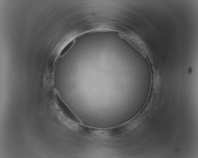 X0000116581097200912101534