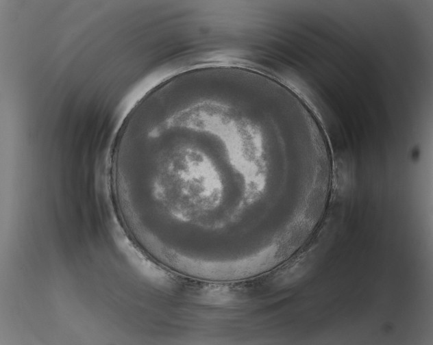 X0000116581098200912101534
