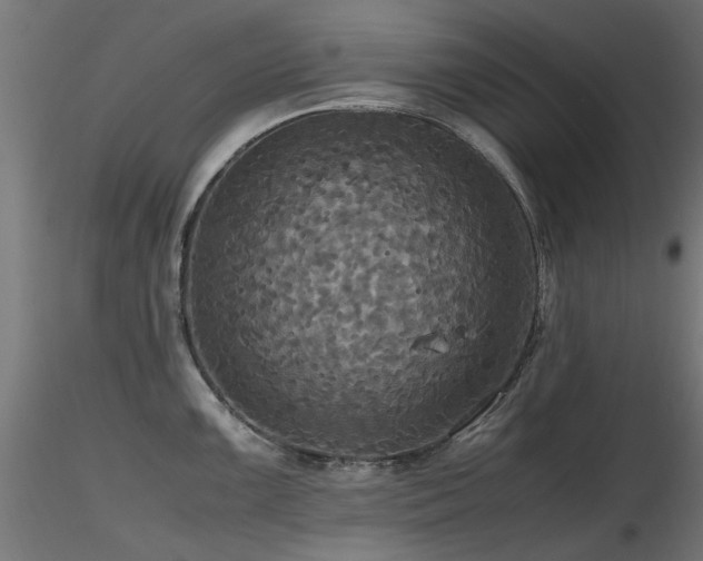 X0000116581099200912101534