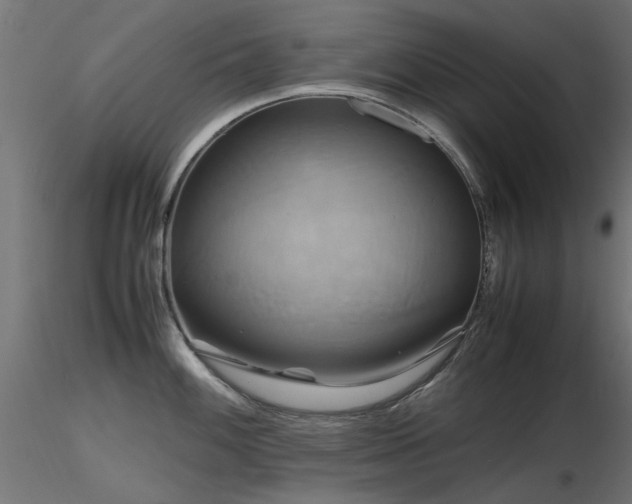 X0000116581100200912101534