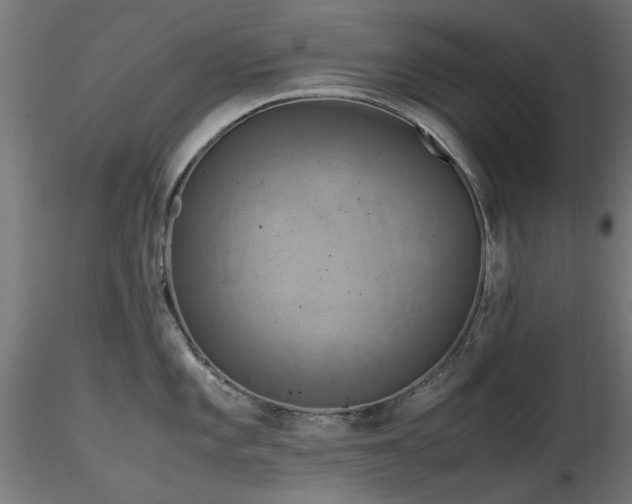 X0000116581101200912101534