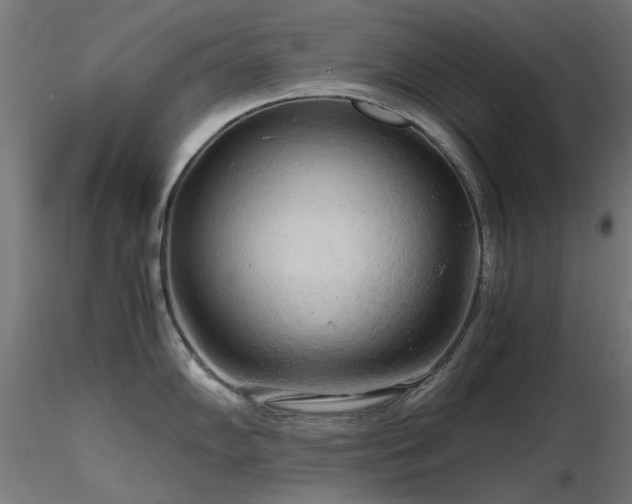 X0000116581102200912101534