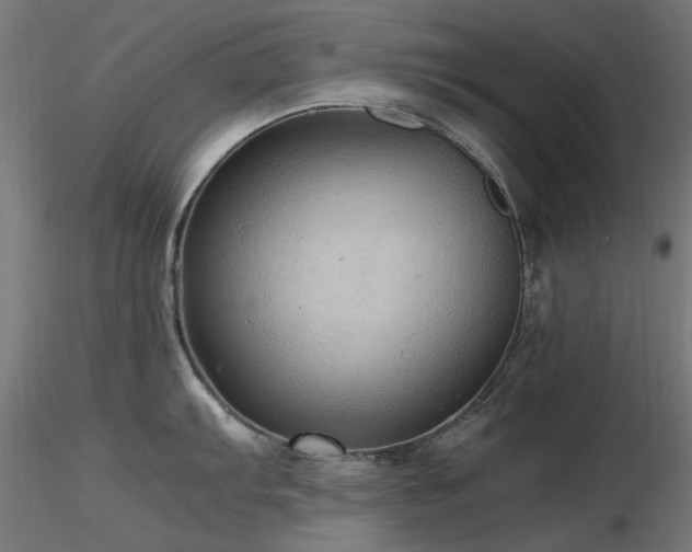 X0000116581103200912101534