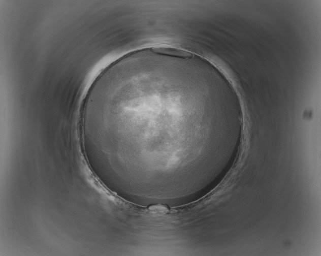 X0000116581104200912101534