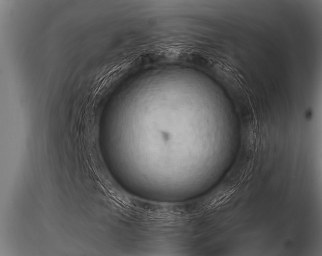 X0000116581105200912101534