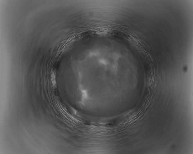 X0000116581106200912101534