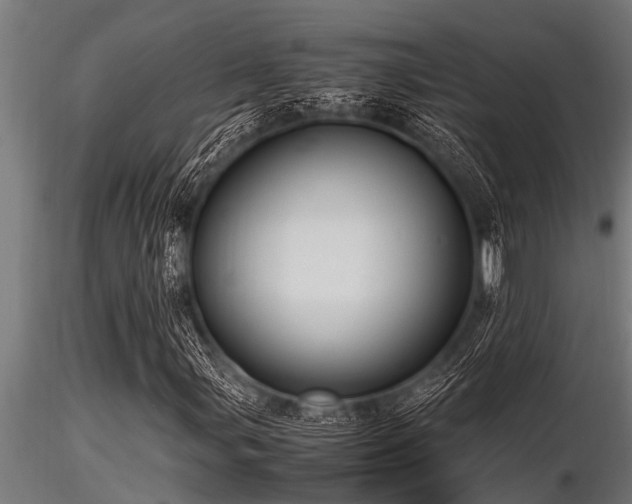 X0000116581107200912101534