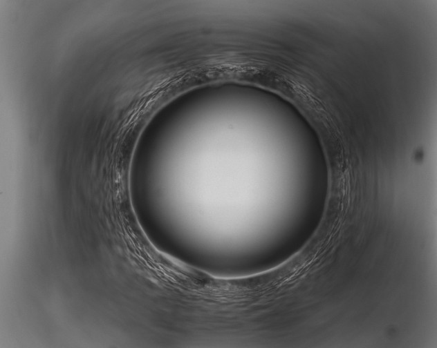 X0000116581109200912101534